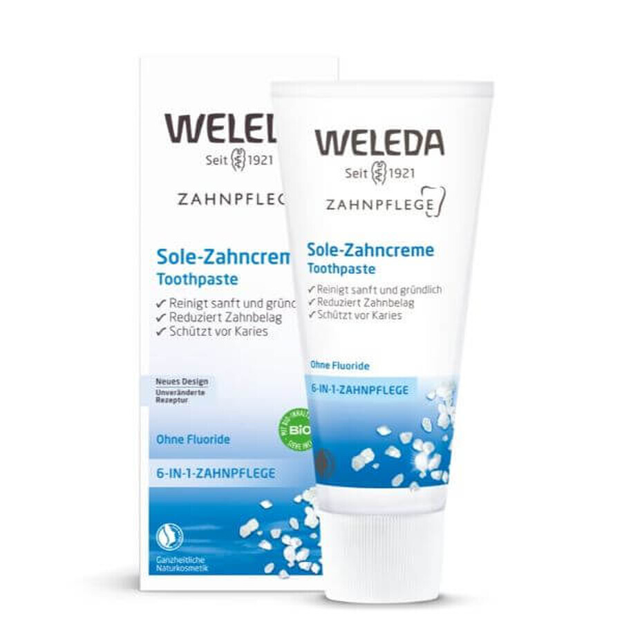 Buy Toothpaste with salt, 75 ml, Weleda Toothpaste with salt, 75 ml, Weleda