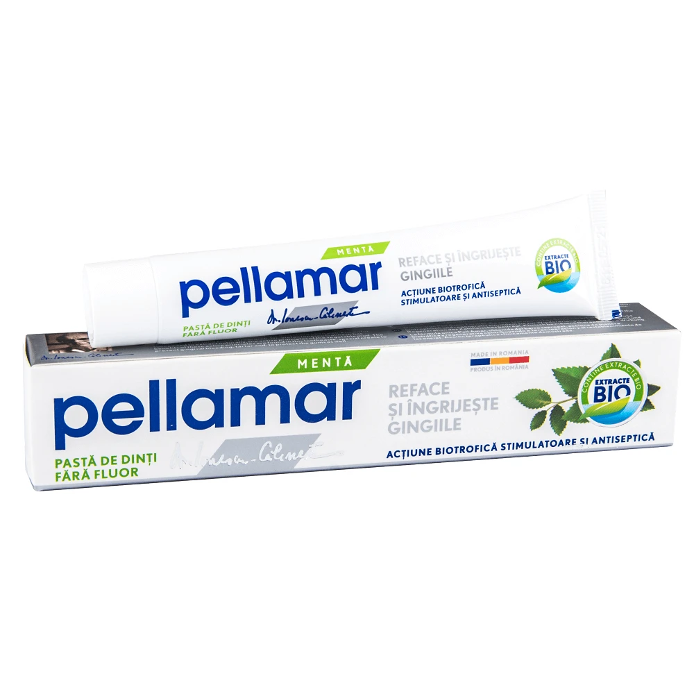 Fluoride-free toothpaste with mint, 50 ml, Pellamar
