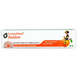 Toothpaste with oranges GennaDent Junior, 80 ml, Vivanatura