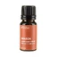 ANASON, essential oil (illicium verum), 10 ml, Sabio