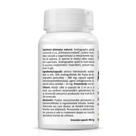 Andrographis 386 mg, 30 vegetarische Kapseln, Zenyth