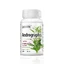 Andrographis 386 mg, 30 vegetarische Kapseln, Zenyth