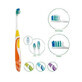 GUM Activital Compact Spazzolino Morbido 581 Con Copritestina 1 Pezzo