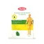Anti-reumatische pleister met menthol, 12 x 18 cm, Narcissus