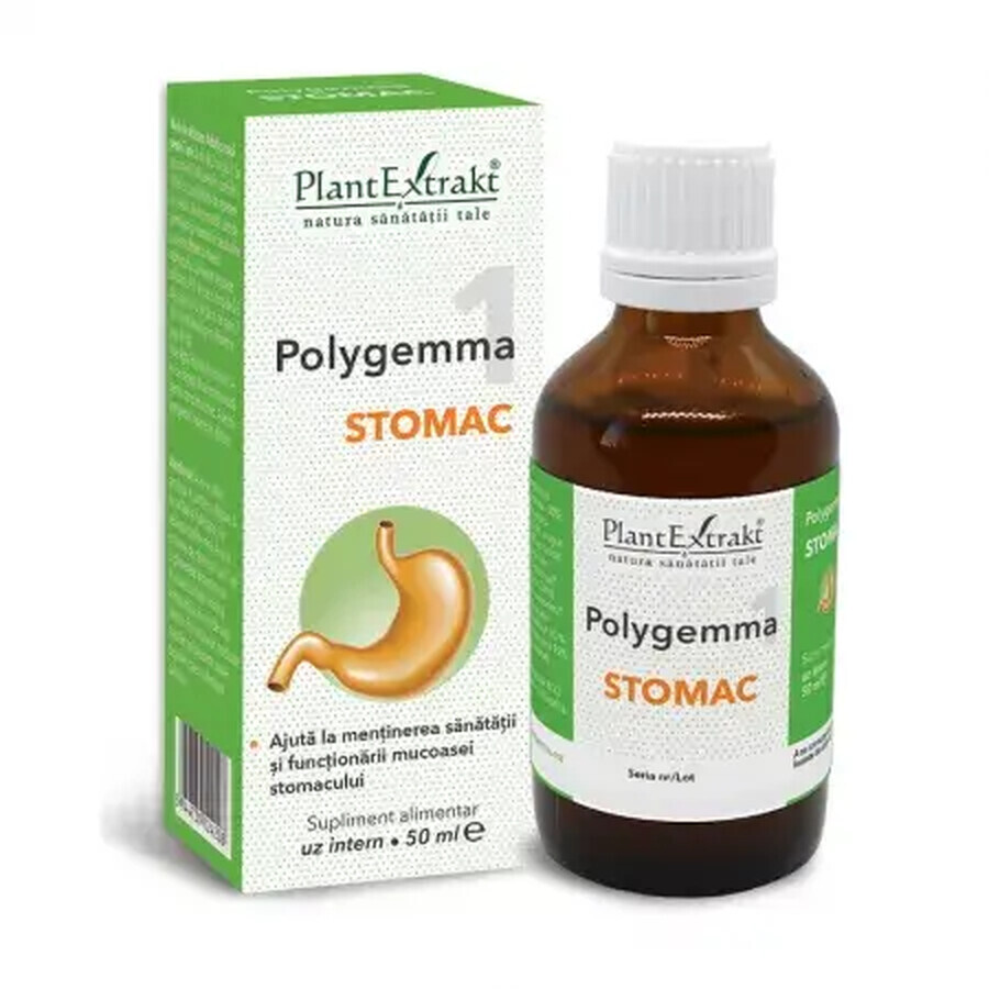 Polygemma 1, Stomach, 50 ml, Plant Extrakt
