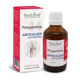 Polygemma 14, Detoxifying joints, 50 ml, Plant Extrakt