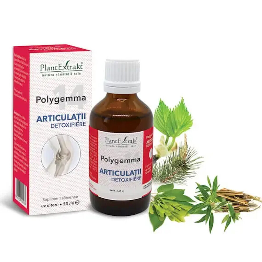 Polygemma 14, Detoxifying joints, 50 ml, Plant Extrakt