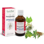 Polygemma 14, Detoxifying joints, 50 ml, Plant Extrakt Polygemma 14, Detoxifying joints, 50 ml, Plant Extrakt