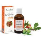 Polygemma 15, Darm detox, 50 ml, Plantenextrakt Polygemma 15, Darm detox, 50 ml, Plantenextrakt
