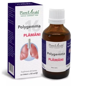 Polygemma
