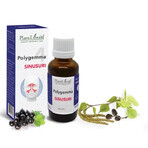 Polygemma 4, Sinussen, 30 ml, Plantenextrakt