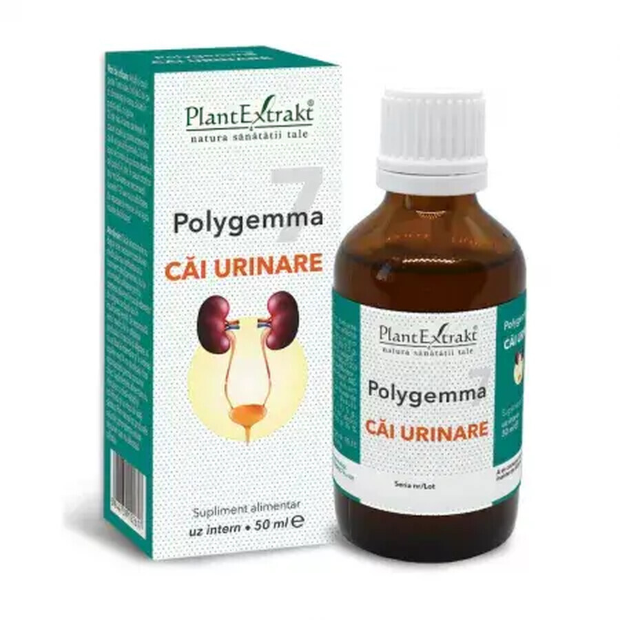 Polygemma 7, Urineleider, 50 ml, Plantenextrakt