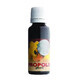 Propolis glycolic, 30 ml, Parapharm