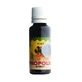 Propolis Tropfen, 30 ml, Parapharm