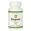 Propovir tabletten met groene propolis, 30 tabletten, Dacia Plant