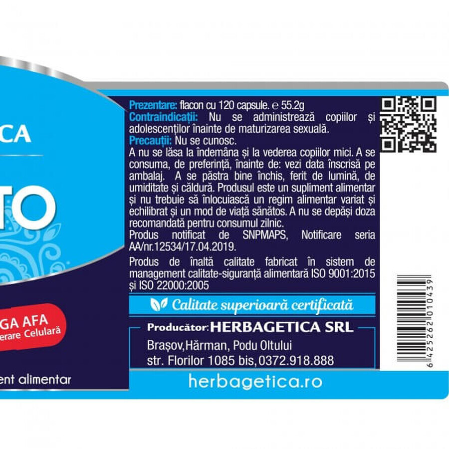 Prostaatsteel, 120 capsules, Herbagetica