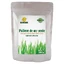 Poudre d'orge vert, 200 g, Phyto Biocare