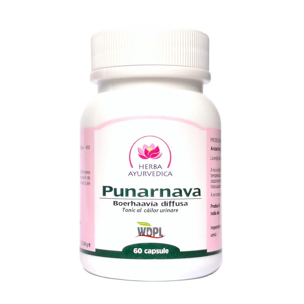 Punarnava, urinary tract tonic, 60 capsules, Ayurvedic Herb