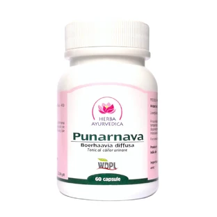 Punarnava, Tonikum für die Harnwege, 60 Kapseln, ayurvedisches Kraut