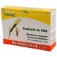 Barley roots Gemoderivat, 30 monodoses, Hofigal