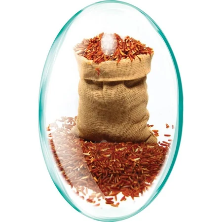 Levadura Roja de Arroz 635 mg, 90 cápsulas, Rotta Natura