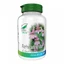 Rehmannia, 60 capsules, Pro Natura
