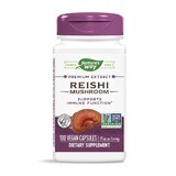 Reishi Natures Way, 100 capsules, Secom