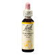 Hornbeam Original Bach rimedio floreale gocce di carpino, 20 ml, Rescue Remedy