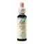 Beech Original Bachblütentropfen, 20 ml, Rescue Remedy