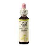 Flower Remedy Clematis Original Bach Flower Remedy, 20 ml, Rescue Remedy