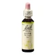 Remedio Floral Olive Original Remedio Floral de Bach, 20 ml, Rescue Remedy