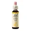 Gorse Original Remedio de Flores de Cebada Silvestre de Bach, 20 ml, Remedio de Rescate