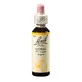 Gorse Original Remedio de Flores de Cebada Silvestre de Bach, 20 ml, Remedio de Rescate