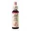 Flower Remedy Tropfen Pine Original Bach, 20 ml, Rescue Remedy