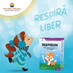 Respisun hypertone Kochsalzlösung 3 %, 24 Dosen, Sun Wave Pharma