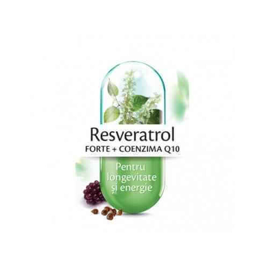 Resveratrol Forte + Co-enzym Q10, 30 capsules, Rotta Natura