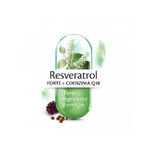 Resveratrol Forte + Co-enzym Q10, 30 capsules, Rotta Natura Resveratrol Forte + Co-enzym Q10, 30 capsules, Rotta Natura