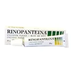 Rinopantein Nasensalbe, 10 g, DMG