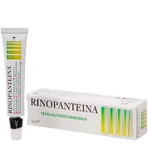 Rinopantein Nasensalbe, 10 g, DMG