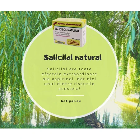 Salicilol Natural, 60 Tabletten, Hofigal