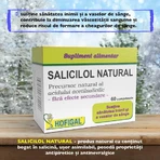Salicilol Natural, 60 Tabletten, Hofigal