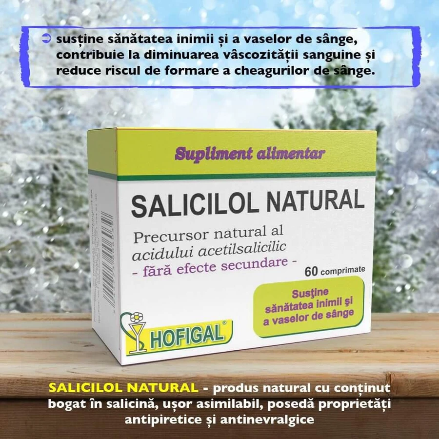 Salicilol Natural, 60 Tabletten, Hofigal