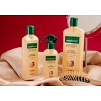 Gerovital Tratament Expert Champú anticaída, 250 ml, Farmec Gerovital Tratament Expert Champú anticaída, 250 ml, Farmec