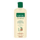 Regenerating shampoo with keratin Gerovital Expert Treatment, 400 ml, Farmec