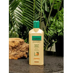Gerovital Expert Behandlung Talgkontrolle Shampoo, 250 ml, Farmec Gerovital Expert Behandlung Talgkontrolle Shampoo, 250 ml, Farmec