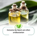 Protective Soap with Neem and Indian Saffron, 75 g, Himalaya