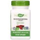 Schizandra Fruit Natures Way, 100 g&#233;lules, 580 mg, Secom
