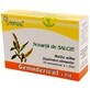 Willow bark Gemoderivat, 30 single doses, Hofigal