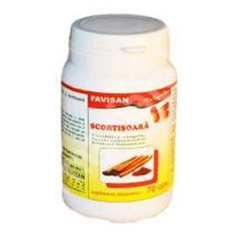 Cinnamon, 70 capsules, Favisan