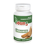 Cinnamon Bark 1000mg Cinnamon, 30 capsules, Adams Vision